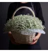 светлая корзина с белой гипсофилой