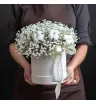 белая коробка с белым хлопком и гипсофилой