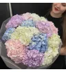 21 голубая,розовая,сиреневая и белая гортензия в букете.