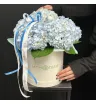 голубая гортензия с зелёной листвой в белой шляпной коробке