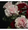 красные и розовые французские розы с эвкалиптом в розовой шляпной коробке