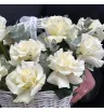 кремовые французские розы с эвкалиптом в белой плетёной корзине