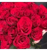 25 красных роз Кения в букете
