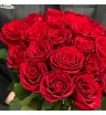 25 красных роз Кения в букете