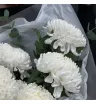 букет из 7 одноголовых белых хризантем с эвкалиптом в белой упаковке
