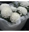 букет из 7 одноголовых белых хризантем с эвкалиптом в белой упаковке
