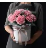 розовые гвоздики с эвкалиптом в коробке