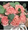 розовые гвоздики с эвкалиптом в коробке