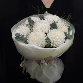 букет из 7 белых одноголовых хризантем с эвкалиптом и стифой.