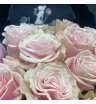 25 розовых роз Эквадор в букете