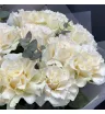 кремовые французские розы в букете