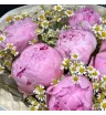 букет из розовых пионов и ромашек