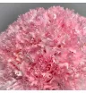 Композиция из розовых гвоздик в коробочке &laquo;Розовый пломбир&raquo;