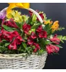 белая корзина с альстромериями разных цветов