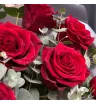 букет из красных роз с эвкалиптом