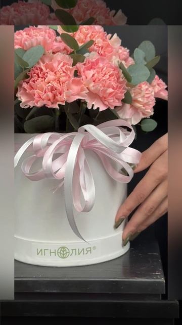 розовые гвоздики с эвкалиптом в коробке