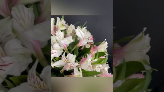 шляпная коробка с белыми и розовыми альстромериями